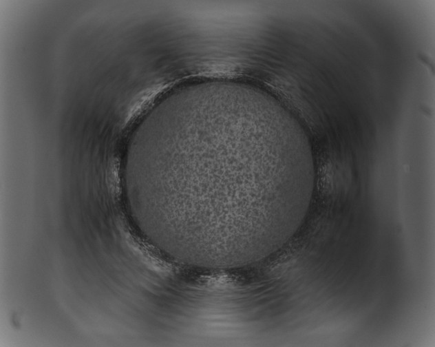 X0000101990688200807181148