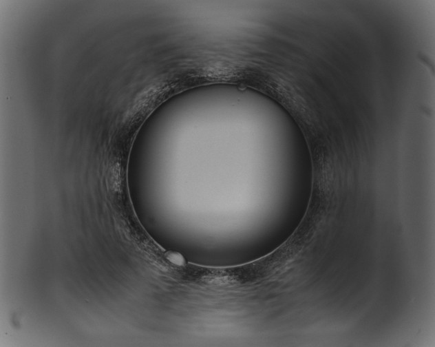 X0000101990689200807181148
