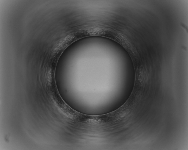 X0000101990690200807181148