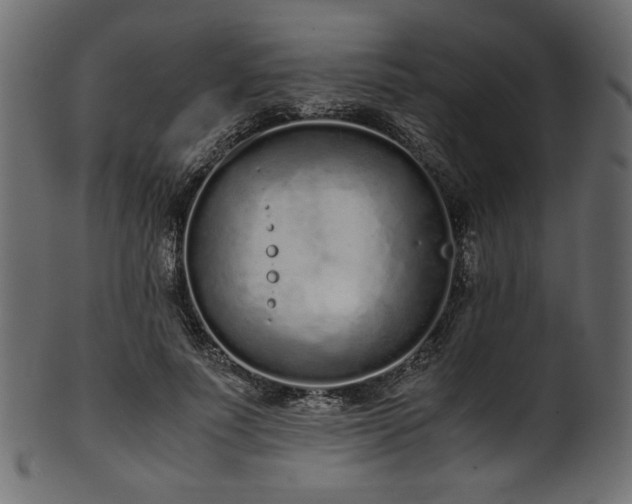 X0000101990691200807181148