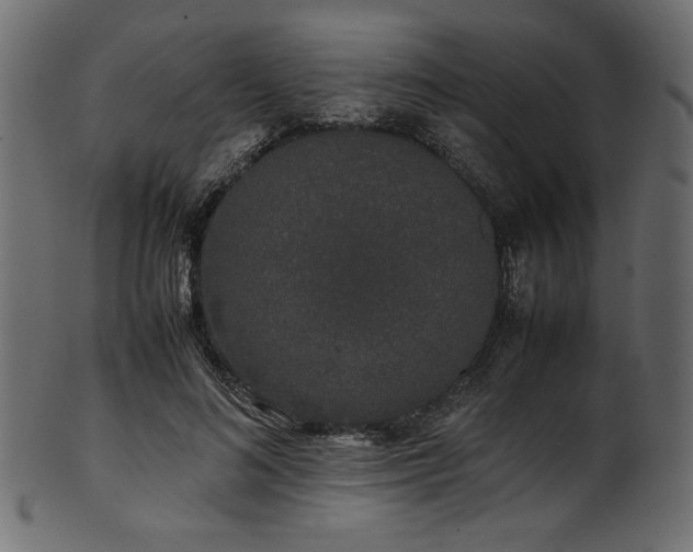 X0000101990692200807181148