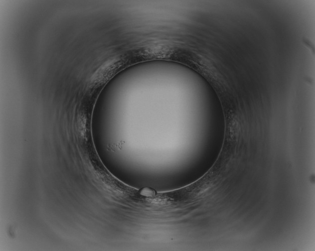 X0000101990693200807181148
