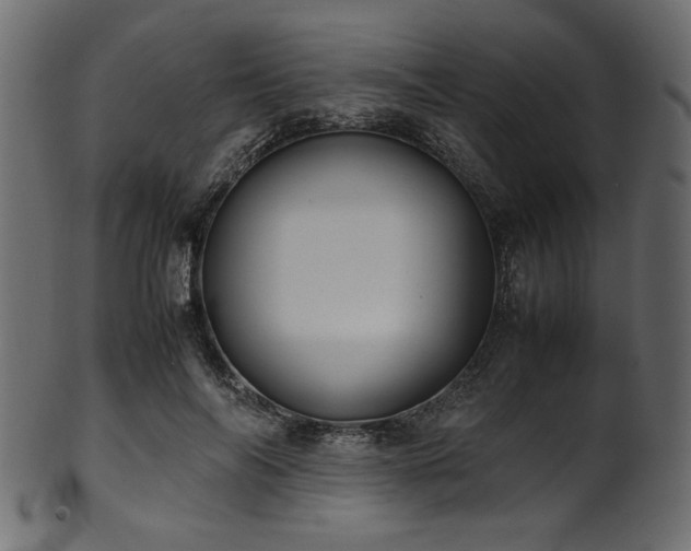 X0000101990694200807181148