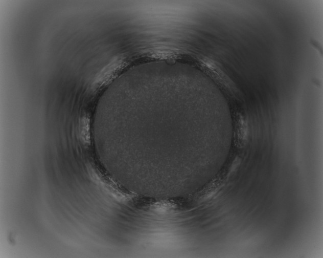 X0000101990696200807181148