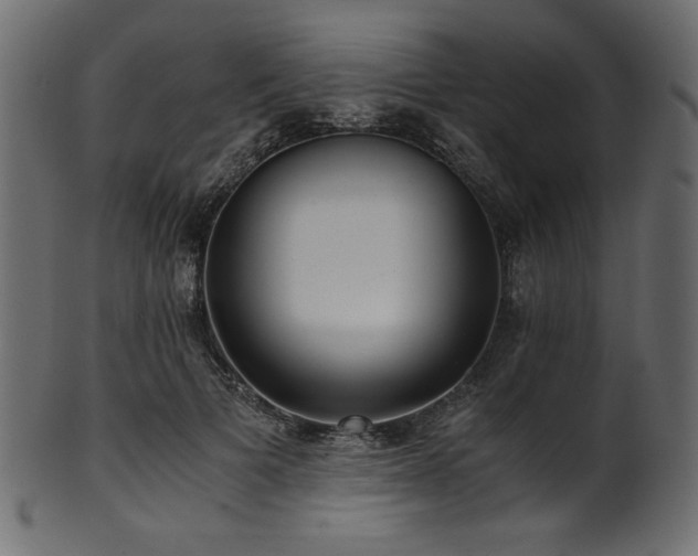 X0000101990697200807181148