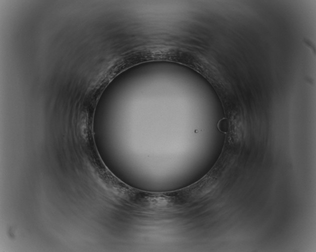 X0000101990698200807181148