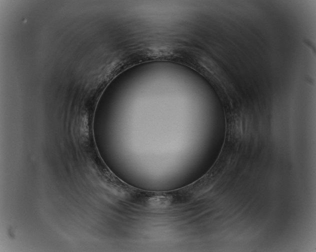 X0000101990700200807181148