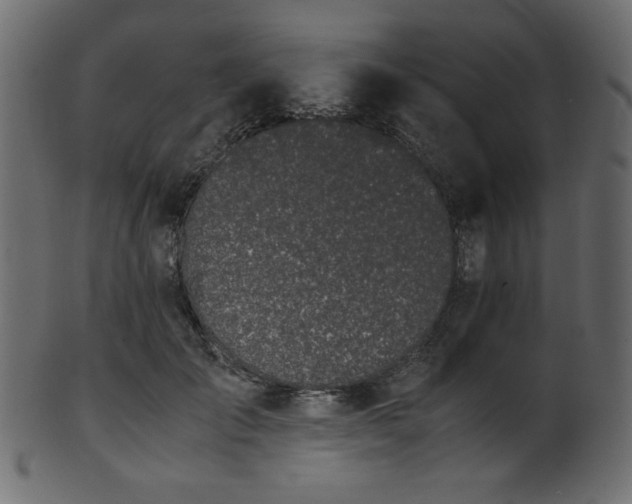 X0000101990701200807181148