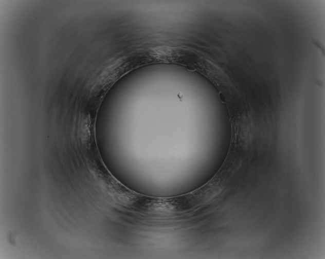 X0000101990702200807181148