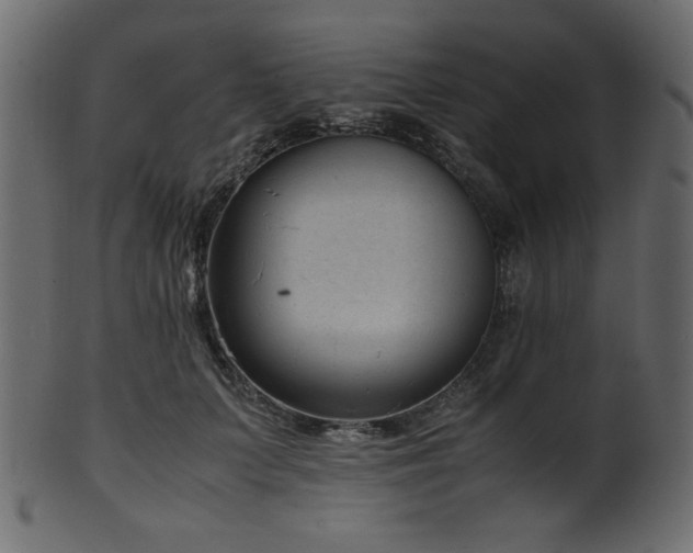 X0000101990703200807181148