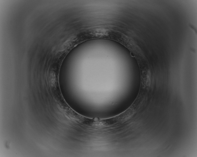 X0000101990704200807181148
