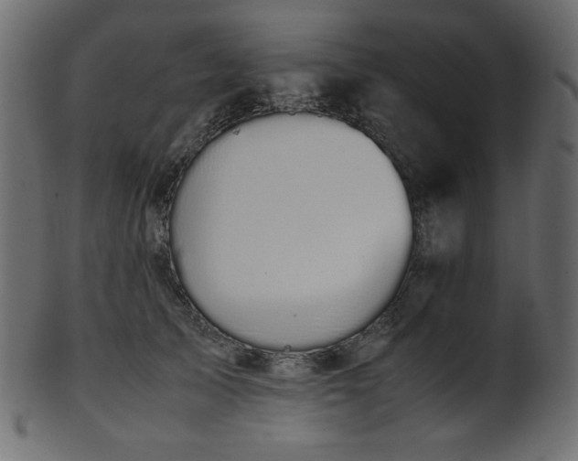X0000101990705200807181148