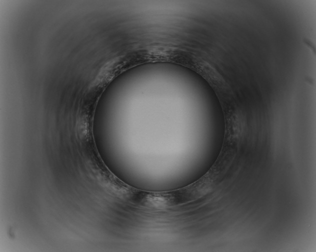 X0000101990706200807181148
