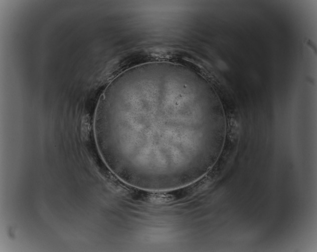 X0000101990707200807181148