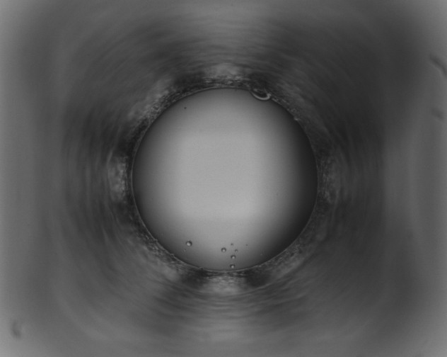 X0000101990708200807181148