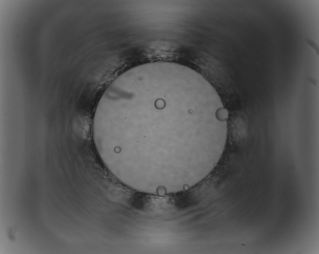 X0000101990709200807181148