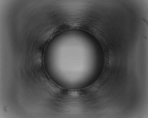 X0000101990710200807181148