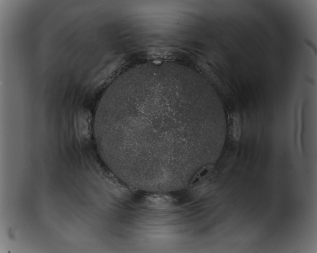 X0000101990712200807181148