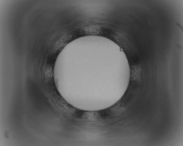 X0000101990713200807181148