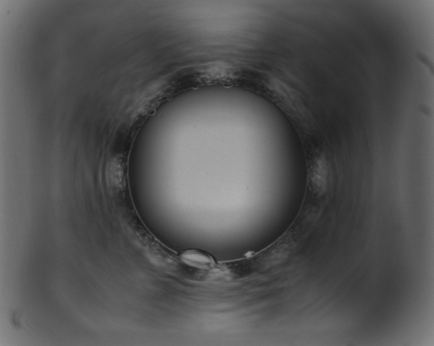 X0000101990715200807181148
