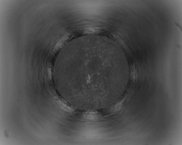 X0000101990716200807181148