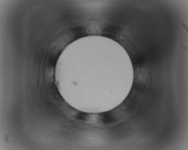 X0000101990717200807181148