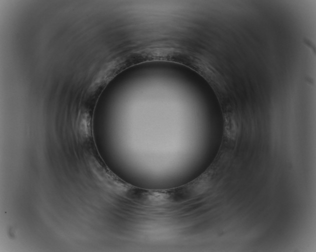 X0000101990718200807181148