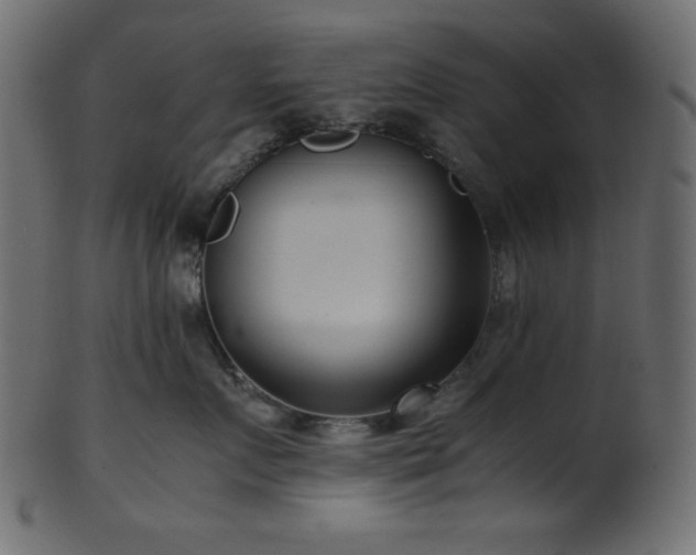 X0000101990719200807181148