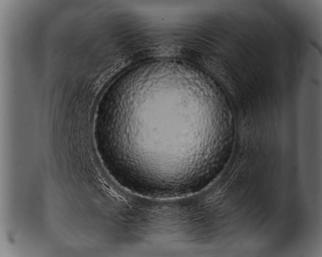 X0000101990721200807181147