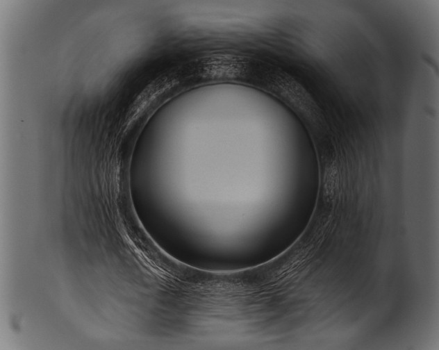 X0000101990722200807181147