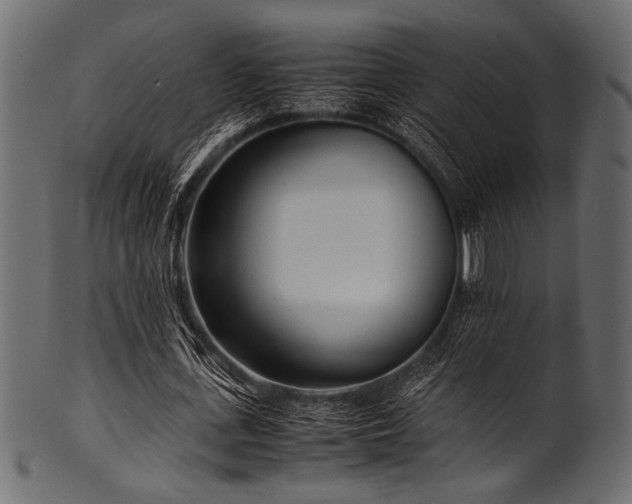 X0000101990723200807181147