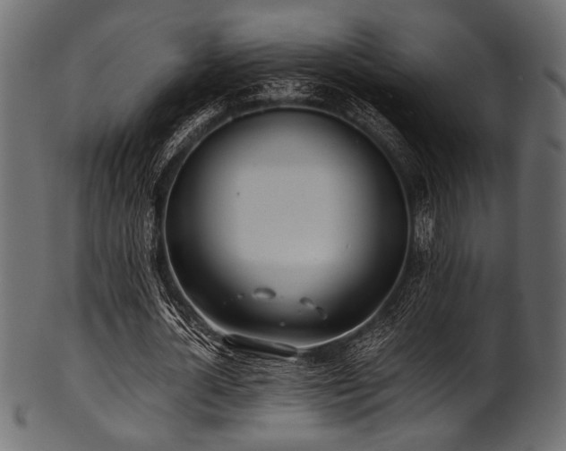X0000101990724200807181147