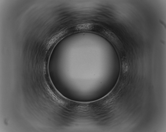 X0000101990725200807181147