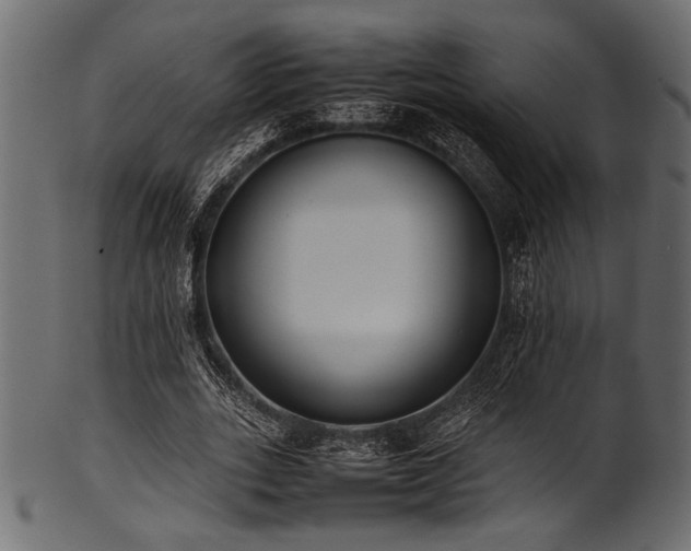 X0000101990727200807181147