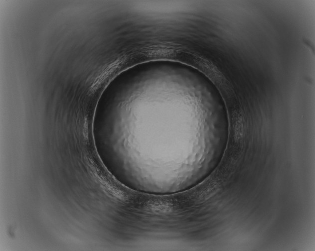 X0000101990729200807181147