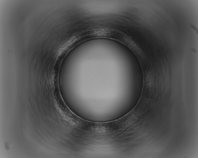 X0000101990730200807181147