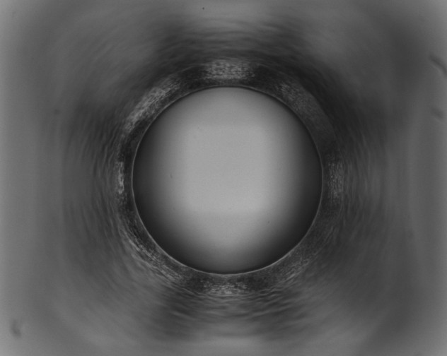 X0000101990731200807181147