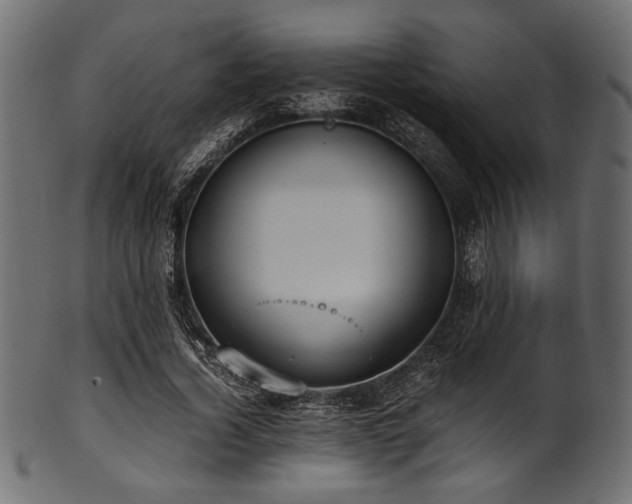 X0000101990732200807181147
