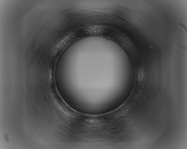 X0000101990733200807181147