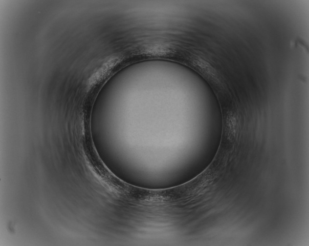 X0000101990734200807181147