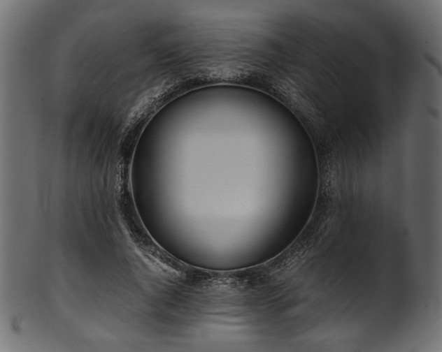 X0000101990736200807181147