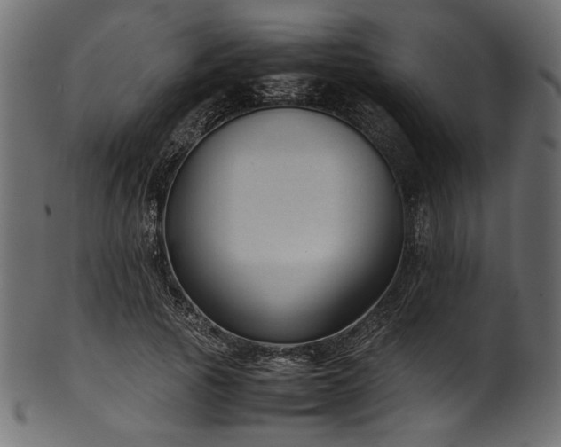 X0000101990737200807181147