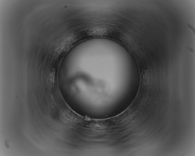 X0000101990739200807181147