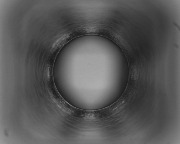 X0000101990740200807181147