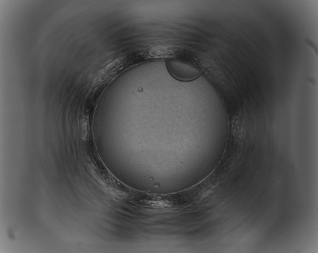 X0000101990741200807181147