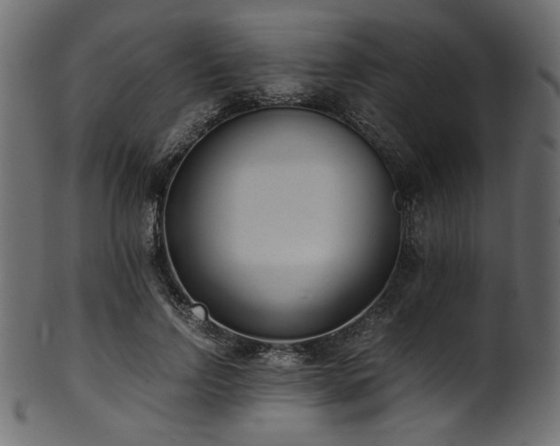 X0000101990742200807181147