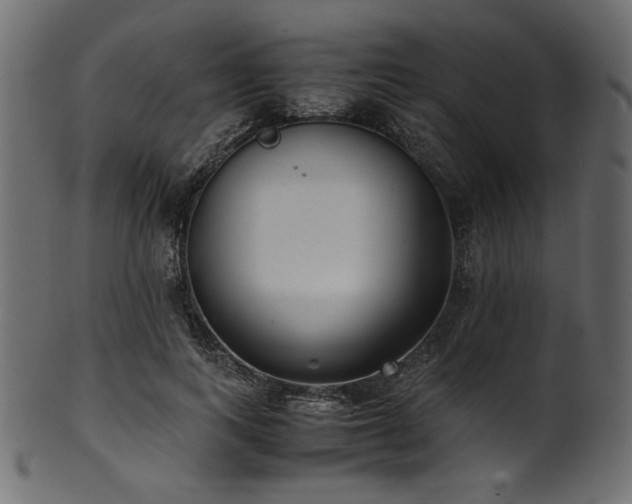 X0000101990743200807181147
