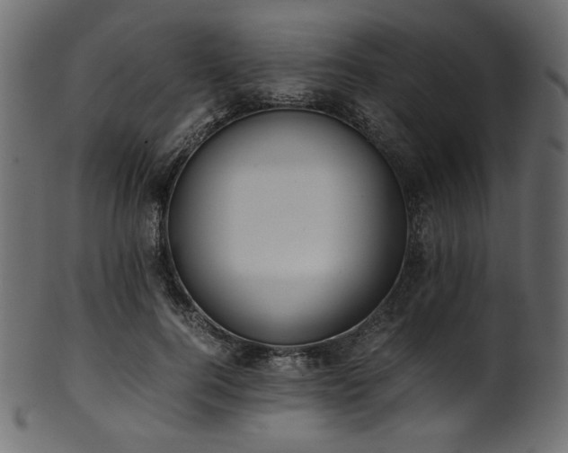 X0000101990744200807181147