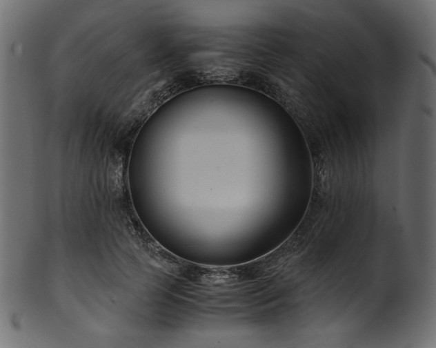 X0000101990745200807181147