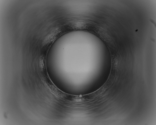 X0000101990746200807181147